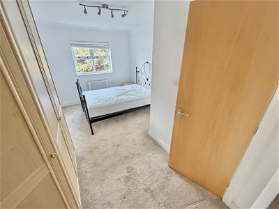 Picture 16